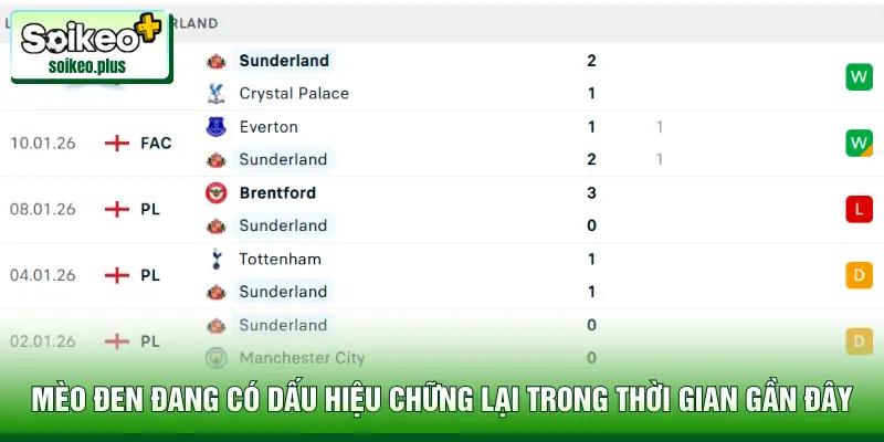 Mèo Đen đang có dấu hiệu chững lại trong thời gian gần đây