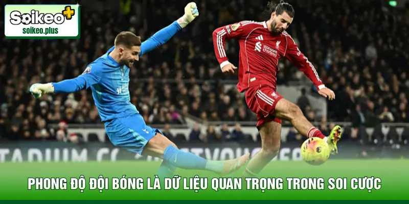 Phong độ đội bóng là dữ liệu quan trọng trong soi cược