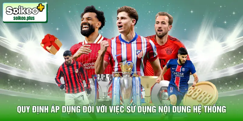 Quy định áp dụng đối với việc sử dụng nội dung trên hệ thống